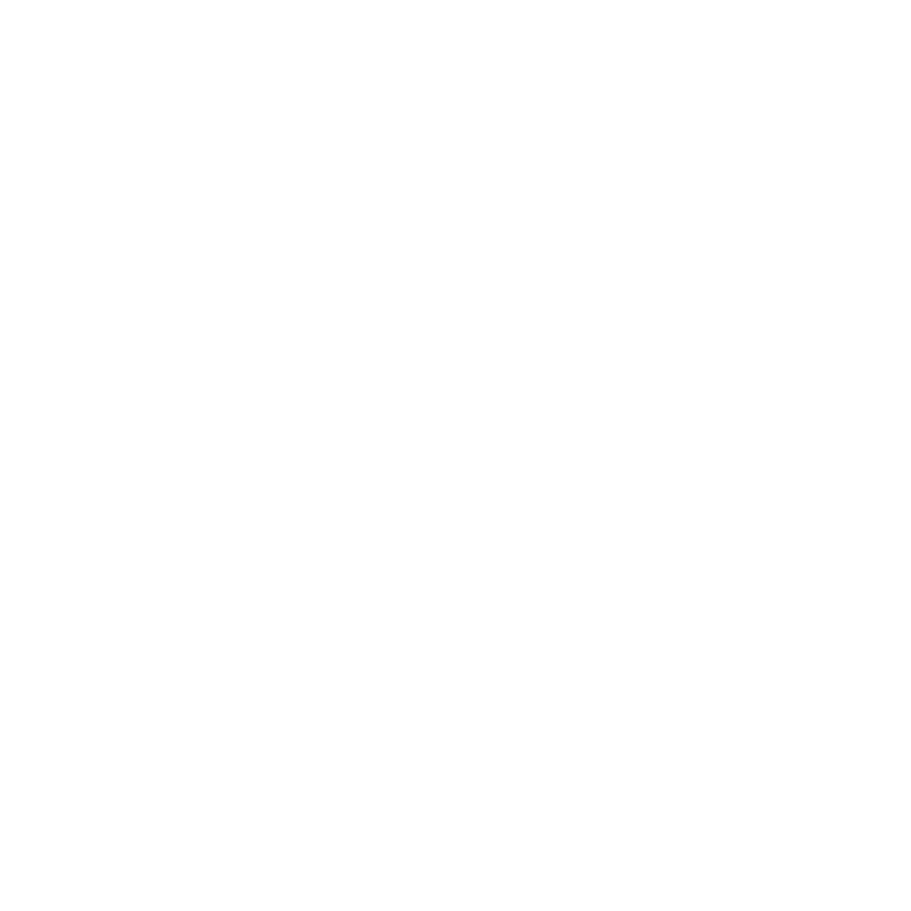 wordpres-web-designer wordpress web design