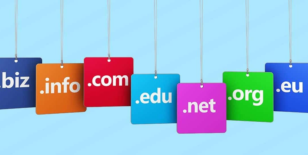 Who/What is a Domain Name Registrant?