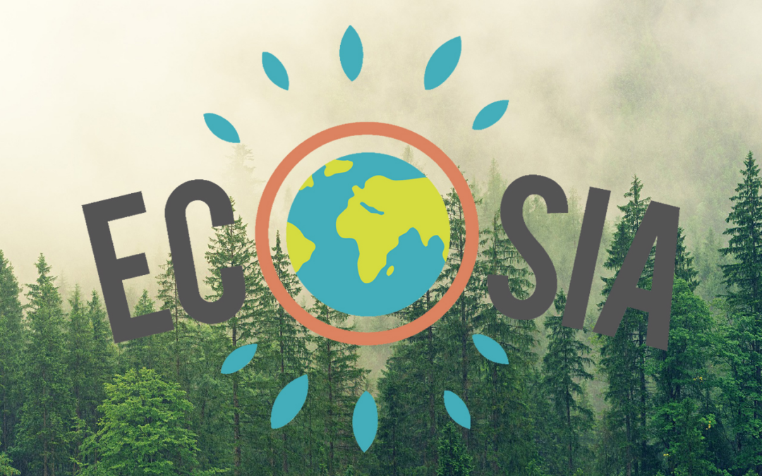 Why Switching to Ecosia (Search Engine) Is A Must!
