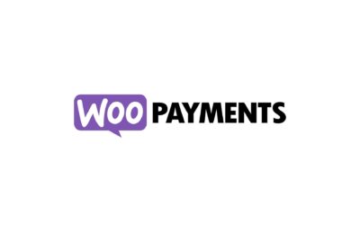 Web Hosting for E-commerce: Essential Features for Online Stores