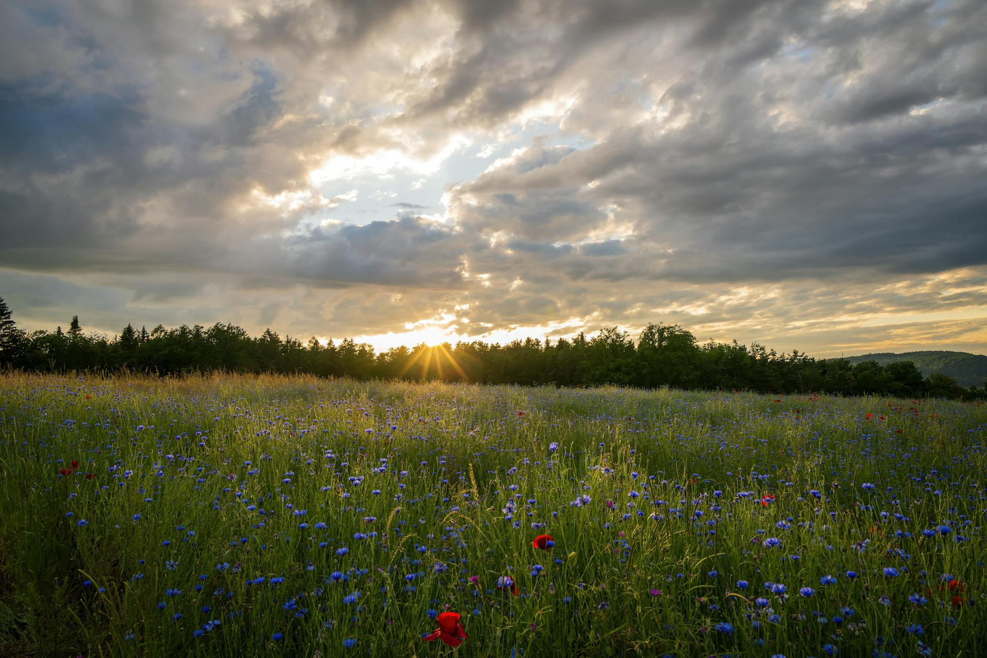 spring 2024 design trends