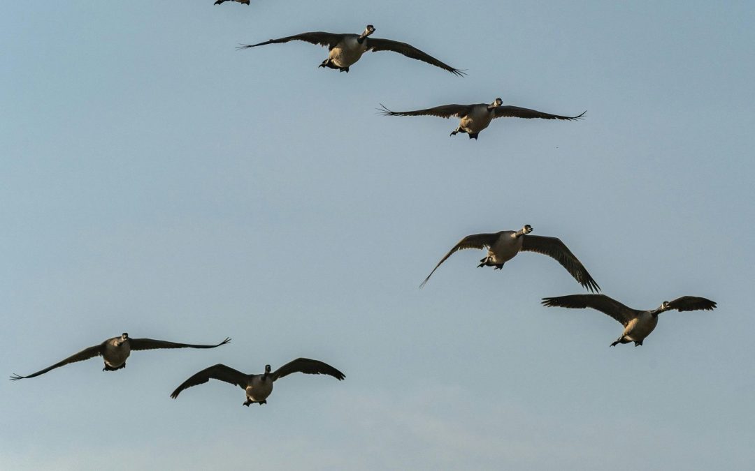 How to Migrate Your Website to a New Hosting Provider (Step-by-Step)