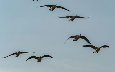 How to Migrate Your Website to a New Hosting Provider (Step-by-Step)