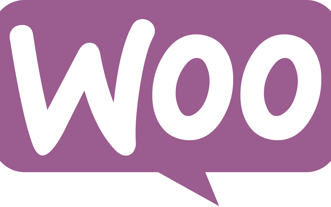 Web Hosting for E-commerce