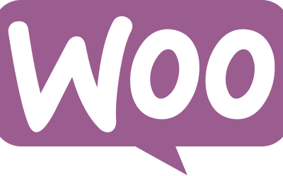 Web Hosting for E-commerce